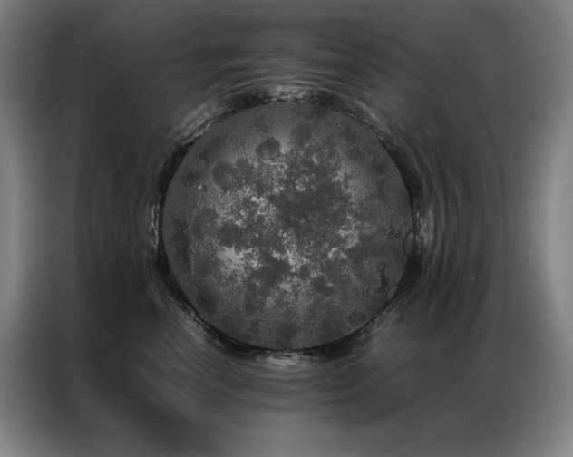 X0000087370666200704201229