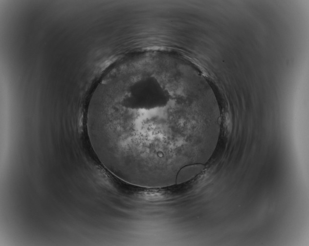 X0000087370668200704201229
