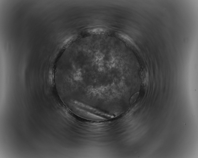 X0000087370669200704201229