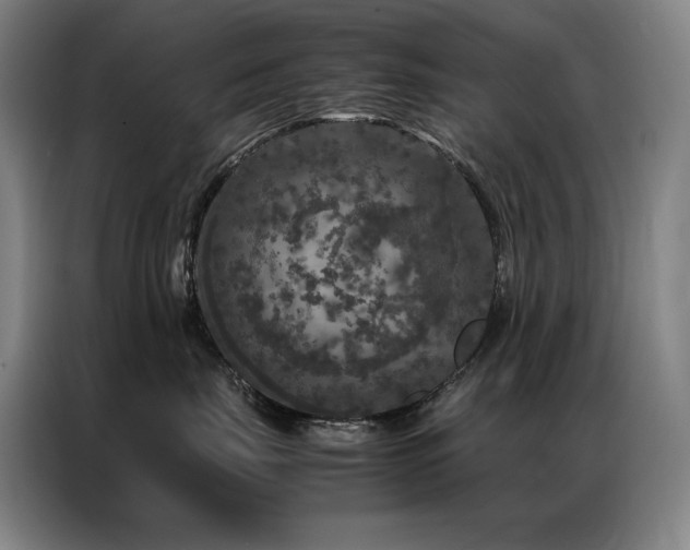 X0000087370671200704201229
