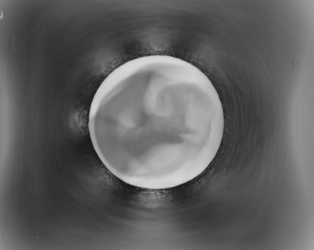 X0000087370672200704201229