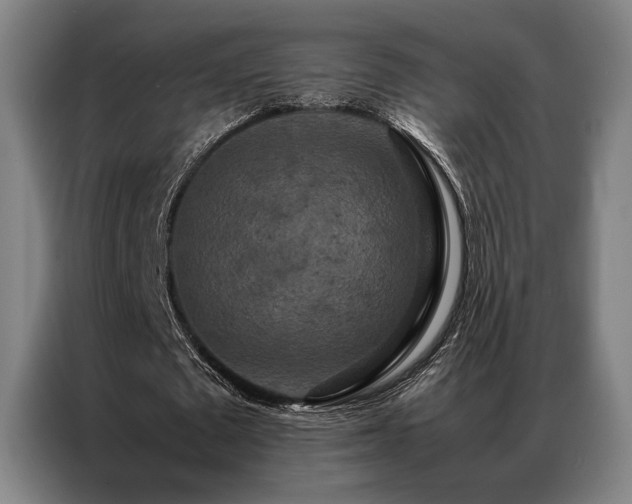 X0000087370673200704201228