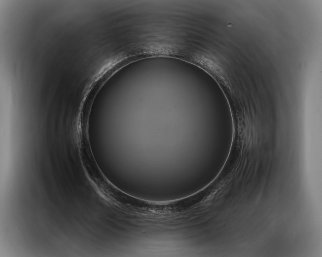 X0000087370674200704201228