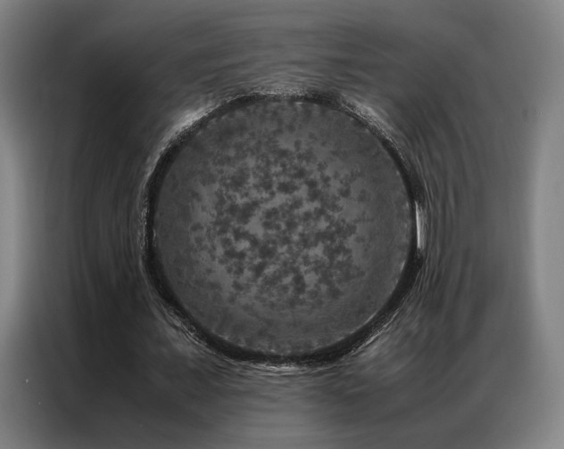 X0000087370675200704201228