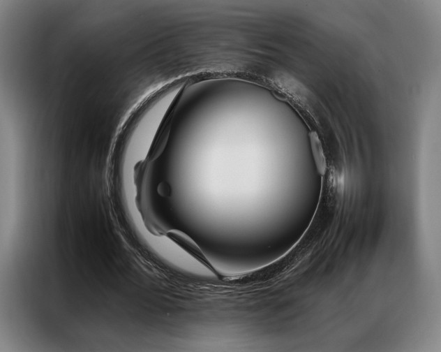 X0000087370676200704201228