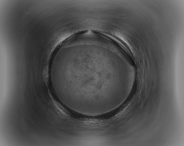 X0000087370677200704201228