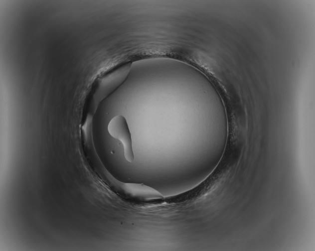 X0000087370681200704201228