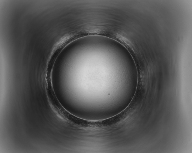 X0000087370682200704201228