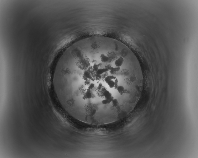 X0000087370683200704201228
