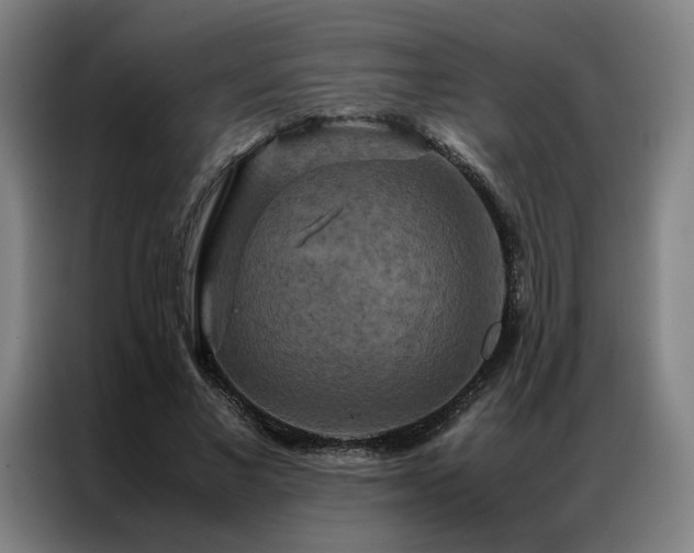X0000087370685200704201228