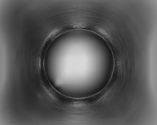 X0000087370686200704201228