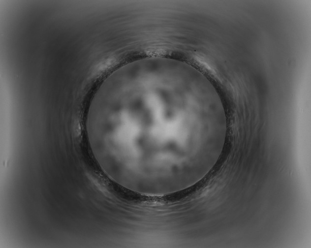 X0000087370687200704201228