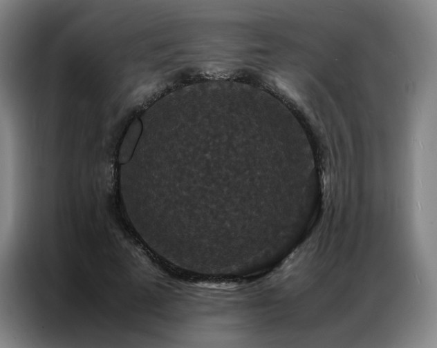 X0000087370689200704201228