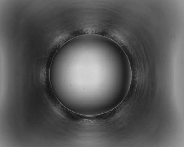 X0000087370690200704201228
