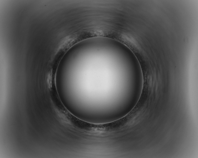 X0000087370694200704201228