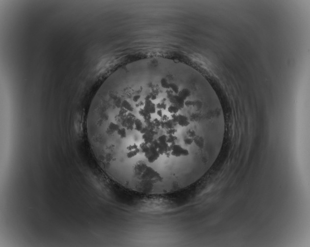 X0000087370695200704201228