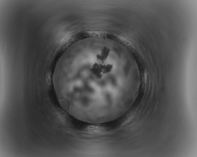 X0000087370699200704201228