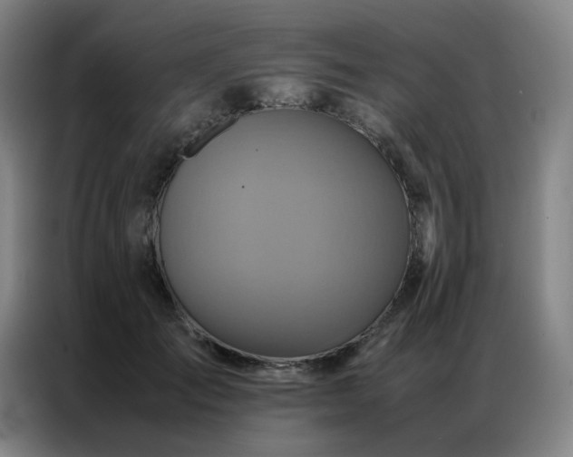 X0000087370701200704201228