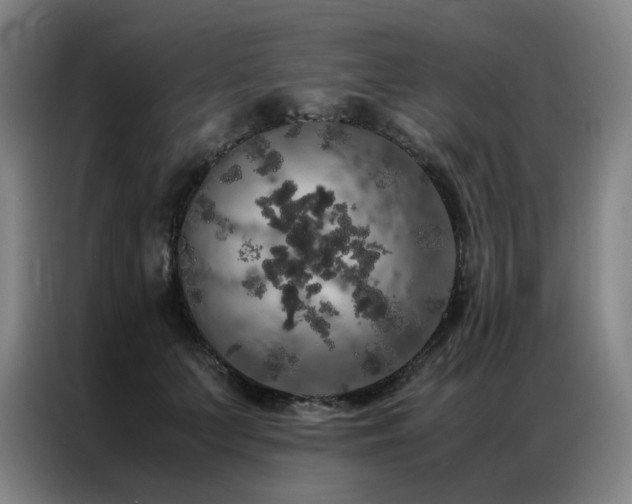 X0000087370703200704201228