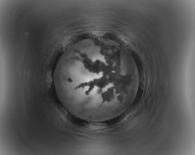X0000087370707200704201228