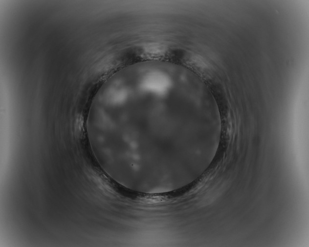 X0000087370711200704201228