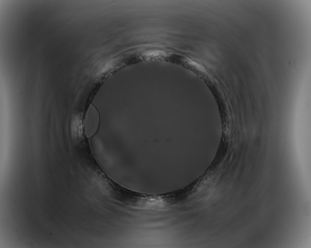 X0000087370715200704201228