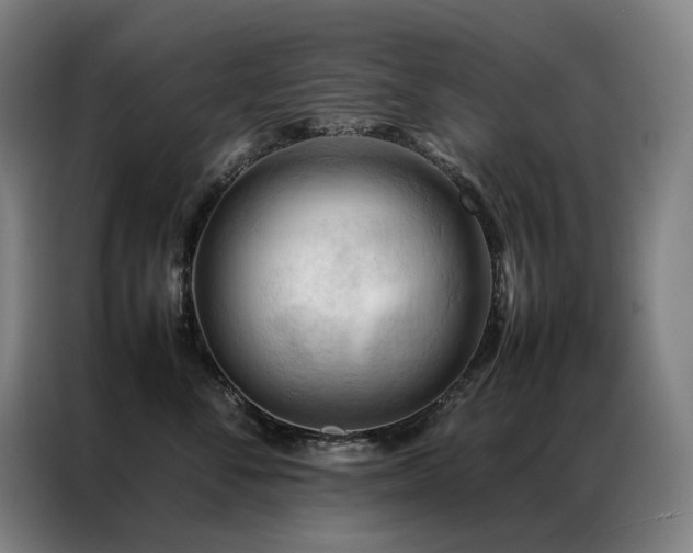X0000087370716200704201228
