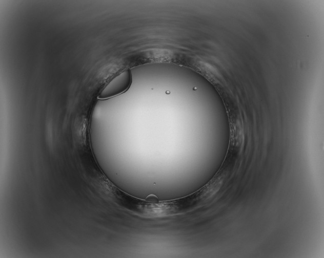 X0000087370717200704201228