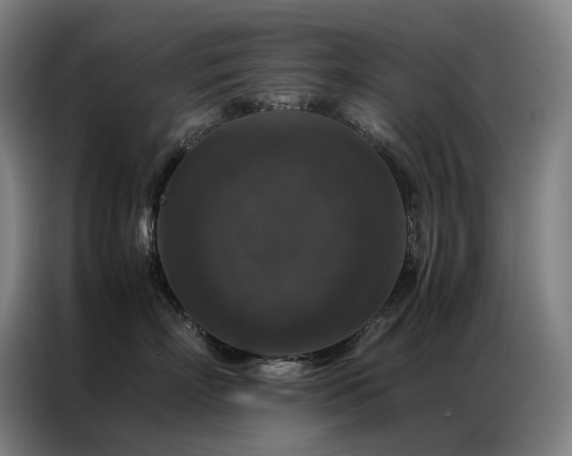 X0000087370718200704201228