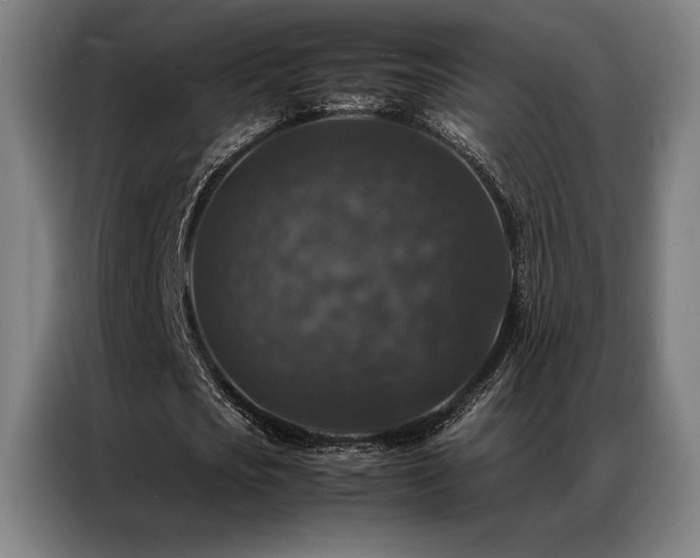 X0000087370721200704201227