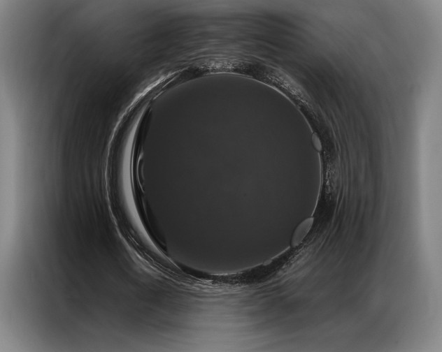 X0000087370722200704201227