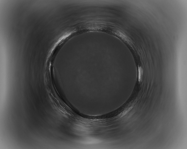 X0000087370723200704201227