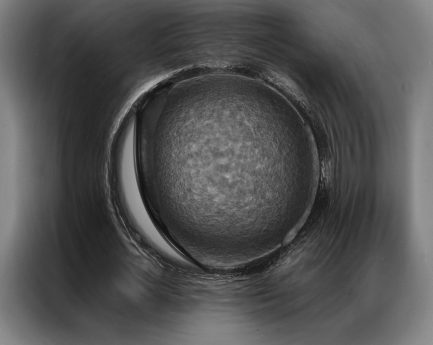 X0000087370724200704201227