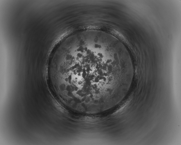 X0000087370725200704201227