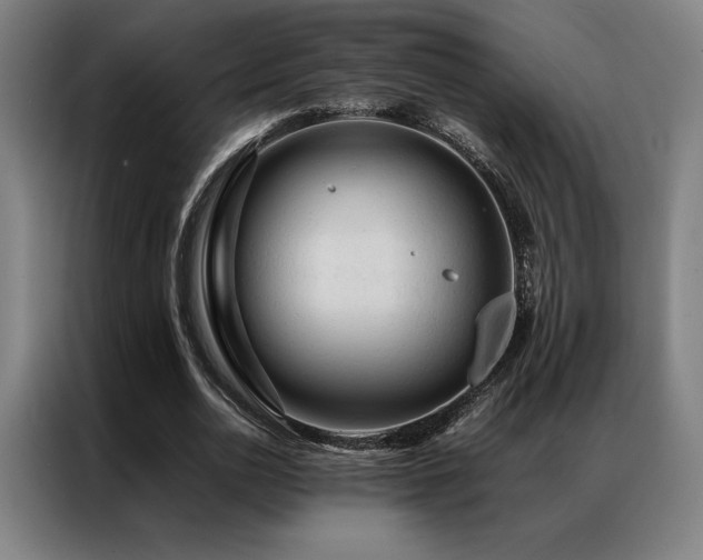 X0000087370726200704201227