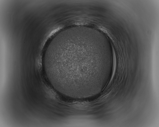 X0000087370727200704201227