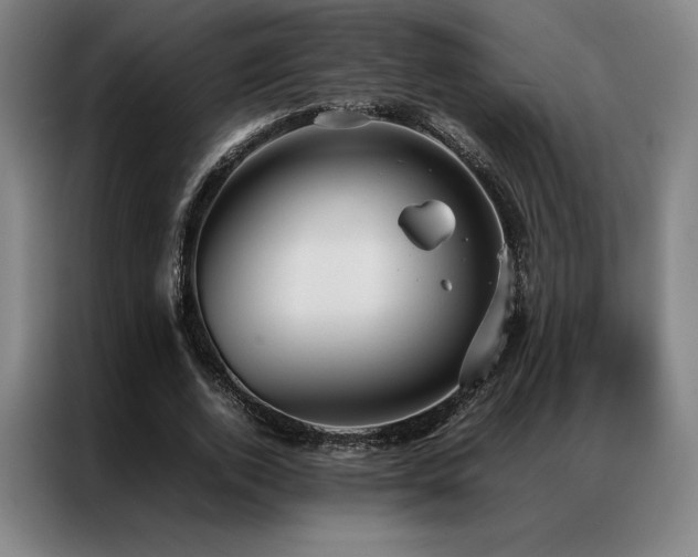 X0000087370728200704201227