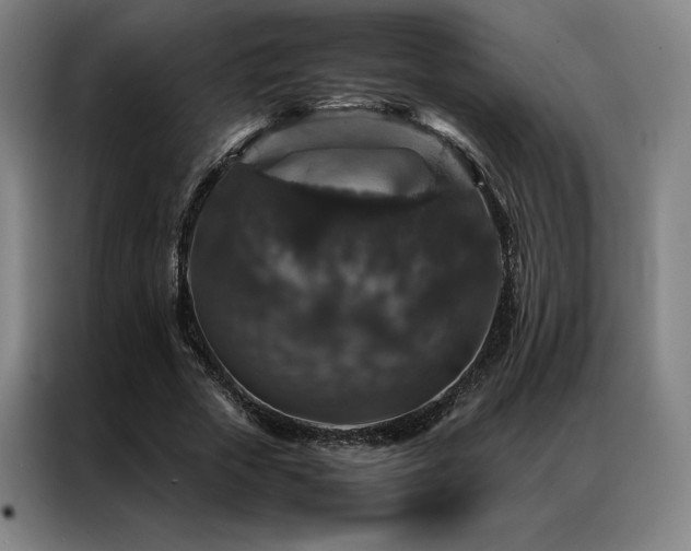 X0000087370729200704201227