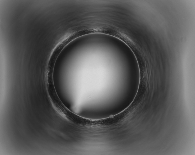 X0000087370730200704201227
