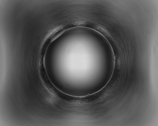 X0000087370732200704201227