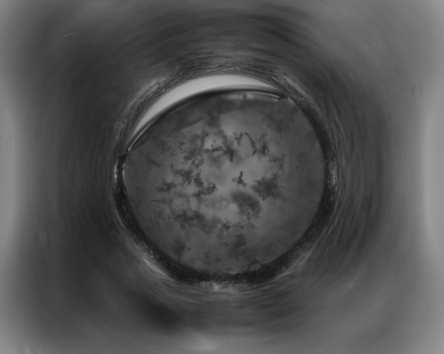 X0000087370733200704201227
