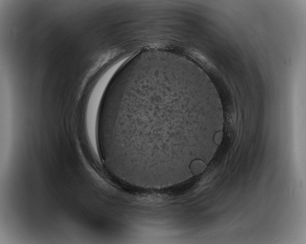 X0000087370734200704201227