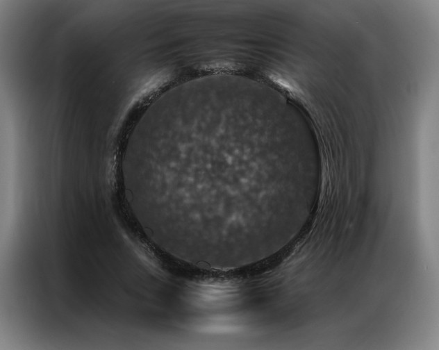 X0000087370735200704201227