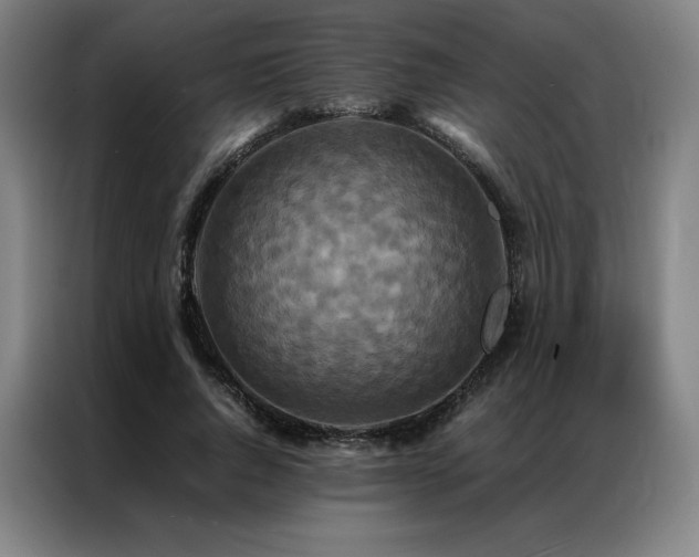 X0000087370736200704201227