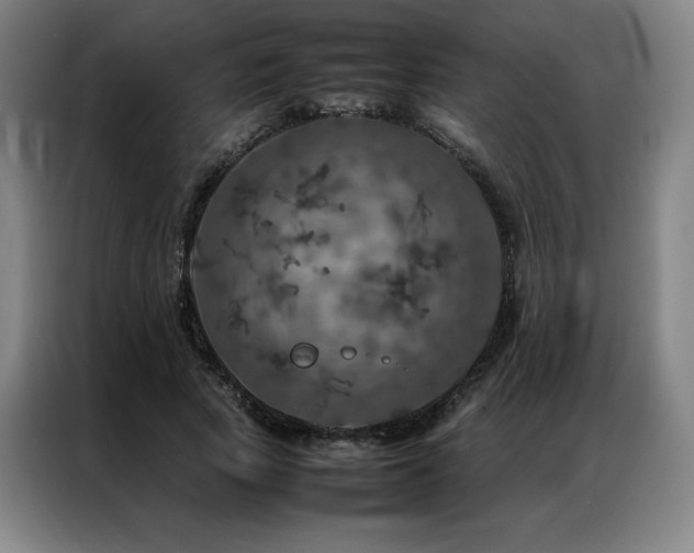 X0000087370737200704201227