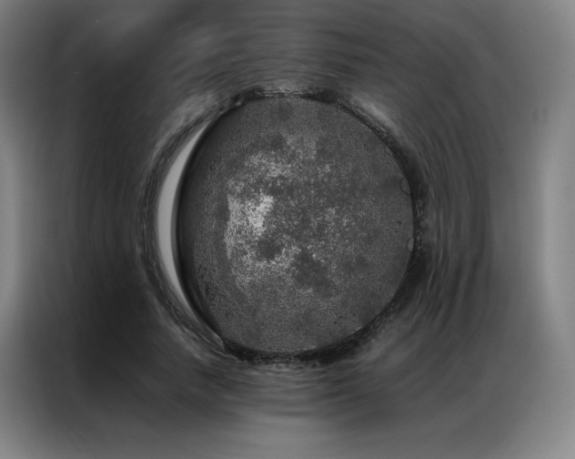 X0000087370738200704201227