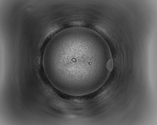 X0000087370739200704201227