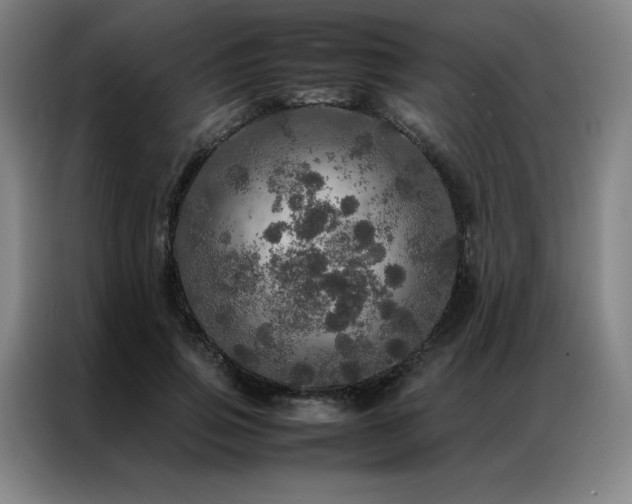X0000087370741200704201227