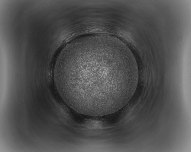 X0000087370743200704201227
