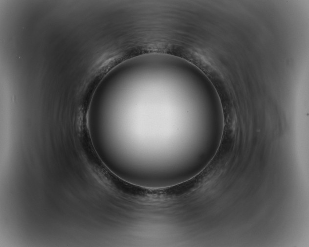 X0000087370744200704201227